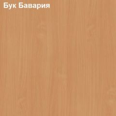 Антресоль для большого шкафа Логика Л-14.3 в Муравленко - muravlenko.mebel24.online | фото 2