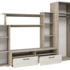 Гостиная Эмма (Дуб Крафт серый/белый) в Муравленко - muravlenko.mebel24.online | фото 3