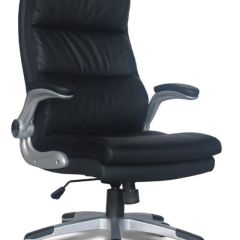 Кресло офисное BRABIX "Fregat EX-510" (рециклированная кожа, черное) 530863 в Муравленко - muravlenko.mebel24.online | фото