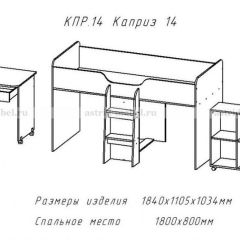 КАПРИЗ-14 Кровать 800 двухъярусная без рисунка в Муравленко - muravlenko.mebel24.online | фото 2