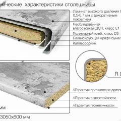 Кухонный фартук со столешницей (А-01) в едином стиле (3050 мм) в Муравленко - muravlenko.mebel24.online | фото 6