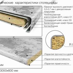 Кухонный фартук со столешницей (А-013) в едином стиле (3050 мм) в Муравленко - muravlenko.mebel24.online | фото 6