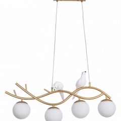 Подвесной светильник Arte Lamp Eltanin A3422SP-4GO в Муравленко - muravlenko.mebel24.online | фото 2