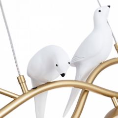 Подвесной светильник Arte Lamp Eltanin A3422SP-4GO в Муравленко - muravlenko.mebel24.online | фото 4