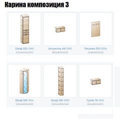 Прихожая Карина (модульная) в Муравленко - muravlenko.mebel24.online | фото 8