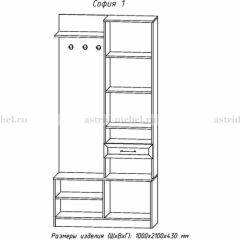 Прихожая София 1 в Муравленко - muravlenko.mebel24.online | фото 3