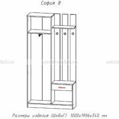 Прихожая София 8 в Муравленко - muravlenko.mebel24.online | фото 2