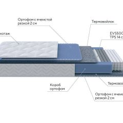 PROxSON Матрас Active M (Ткань Трикотаж Эко) 160x200 в Муравленко - muravlenko.mebel24.online | фото 7