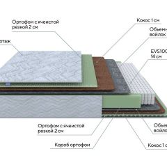 PROxSON Матрас Green M (Tricotage Dream) 80x210 в Муравленко - muravlenko.mebel24.online | фото 7