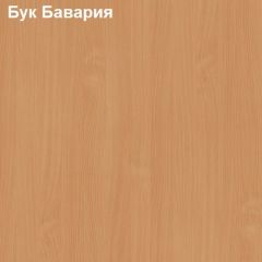 Шкаф для документов с нижней дверью Логика Л-10.3 в Муравленко - muravlenko.mebel24.online | фото 2