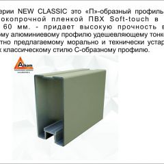 Шкаф-купе 1500 серии NEW CLASSIC K3+K3+B2+PL1 (2 ящика+1 штанга) профиль «Капучино» в Муравленко - muravlenko.mebel24.online | фото 5