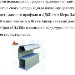 Шкаф-купе 1500 серии SILVER S4+S3Z+B2+PL1 (2 ящика+1 штанга) профиль «Серебро» в Муравленко - muravlenko.mebel24.online | фото 6