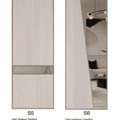 Шкаф-купе 1500 серии SILVER S4+S3Z+B2+PL1 (2 ящика+1 штанга) профиль «Серебро» в Муравленко - muravlenko.mebel24.online | фото 11