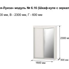 Шкаф-купе 1600 с зеркалом "Мария-Луиза 6.16" в Муравленко - muravlenko.mebel24.online | фото 4