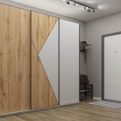Шкаф-купе 2100 серии SOFT D2+D7+D3+B22+PL2 (по 2 ящика лев/прав+1штанга+1полка) профиль «Графит» в Муравленко - muravlenko.mebel24.online | фото