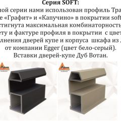 Шкаф-купе 2100 серии SOFT D2+D7+D3+B22+PL2 (по 2 ящика лев/прав+1штанга+1полка) профиль «Графит» в Муравленко - muravlenko.mebel24.online | фото 12