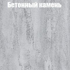 Шкаф-купе Бассо 1.0 (Дуб Крафт серый/Бетонный камень) 2 двери ЛДСП в Муравленко - muravlenko.mebel24.online | фото 3