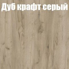 Шкаф-купе Бассо 1.0 (Дуб Крафт серый/Бетонный камень) 2 двери ЛДСП в Муравленко - muravlenko.mebel24.online | фото 4