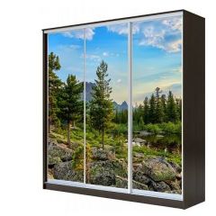 Шкаф-купе ХИТ 23-4-18-777 (420) в Муравленко - muravlenko.mebel24.online | фото 1