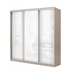 Шкаф-купе ХИТ 24-18-888 (620) в Муравленко - muravlenko.mebel24.online | фото 7
