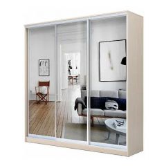 Шкаф-купе ХИТ 24-4-20/2-555 (420) в Муравленко - muravlenko.mebel24.online | фото 4