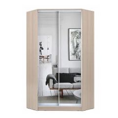 Шкаф-купе ХИТ-У-22-4-55 в Муравленко - muravlenko.mebel24.online | фото 8