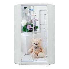 Шкаф-купе ХИТ-У-L-24-64-77 в Муравленко - muravlenko.mebel24.online | фото