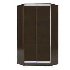 Шкаф-купе ХИТ-У-R-22-64-11 в Муравленко - muravlenko.mebel24.online | фото