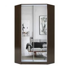 Шкаф-купе ХИТ-У-R-23-64-55 в Муравленко - muravlenko.mebel24.online | фото