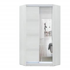 Шкаф-купе ХИТ-У-R-24-64-15 в Муравленко - muravlenko.mebel24.online | фото