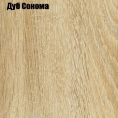 Шкаф-купе Лофт 3000 Шк30-60 (Дуб Сонома) в Муравленко - muravlenko.mebel24.online | фото 4