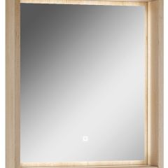 Шкаф-зеркало Nice 60 с подсветкой Домино (DN4706HZ) в Муравленко - muravlenko.mebel24.online | фото 1