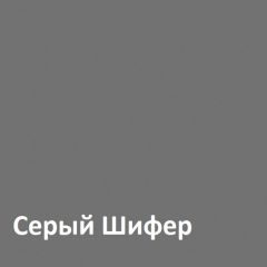 Юнона Шкаф торцевой 13.221 в Муравленко - muravlenko.mebel24.online | фото 2