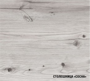 АСАЯ Кухонный гарнитур Экстра 2 (3000 мм) ПМ в Муравленко - muravlenko.mebel24.online | фото 8