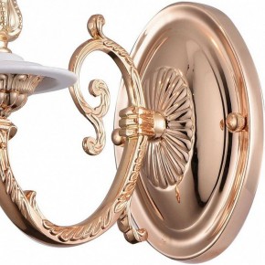 Бра Arte Lamp 8020 A8020AP-1WG в Муравленко - muravlenko.mebel24.online | фото 4