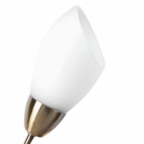 Бра MW-Light Нежность 7 356023001 в Муравленко - muravlenko.mebel24.online | фото 2