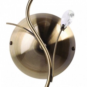 Бра MW-Light Нежность 7 356023001 в Муравленко - muravlenko.mebel24.online | фото 3