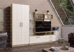 ДАРЬЯ Гостиная (Крафт серый/Крафт белый) в Муравленко - muravlenko.mebel24.online | фото