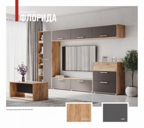 ФЛОРИДА Гостиная (модульная) дуб золотой/графит в Муравленко - muravlenko.mebel24.online | фото