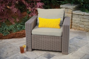 Комплект кресел Калифорния (California chair) капучино в Муравленко - muravlenko.mebel24.online | фото 2