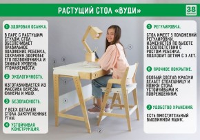 Комплект растущий стол и стул с чехлом 38 попугаев «Вуди» (Серый, Береза, Салют) в Муравленко - muravlenko.mebel24.online | фото