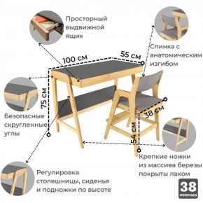 Комплект растущий стол и стул с чехлом 38 попугаев «Вуди» (Серый, Береза, Серый) в Муравленко - muravlenko.mebel24.online | фото