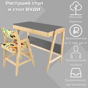 Комплект растущий стол и стул с чехлом 38 попугаев «Вуди» (Серый, Без покрытия, Монстры) в Муравленко - muravlenko.mebel24.online | фото