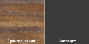 Кухонный гарнитур угловой Трансильвания 2400x1600 мм (Стол. 38 мм) Антрацит/Трансильвания в Муравленко - muravlenko.mebel24.online | фото 3