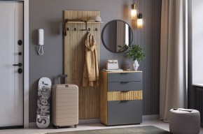 МЕБЕЛЬСОН К3 Прихожая (графит) в Муравленко - muravlenko.mebel24.online | фото