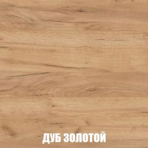 МСП-1 Шкаф 2-х створчатый (Дуб Золотой/Камень темный) в Муравленко - muravlenko.mebel24.online | фото 4