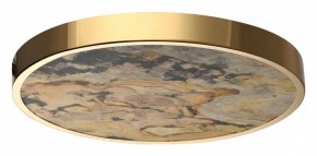 Накладной светильник Odeon Light Bergi 5079/40L в Муравленко - muravlenko.mebel24.online | фото 4