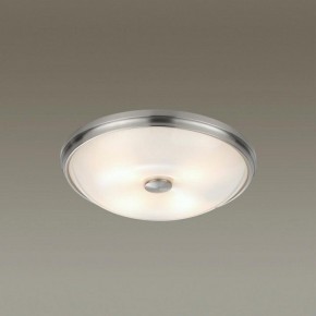 Накладной светильник Odeon Light Pelow 4957/4 в Муравленко - muravlenko.mebel24.online | фото 2