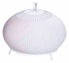 Настольная лампа декоративная Divinare Firefly 1808/33 TL-50 в Муравленко - muravlenko.mebel24.online | фото