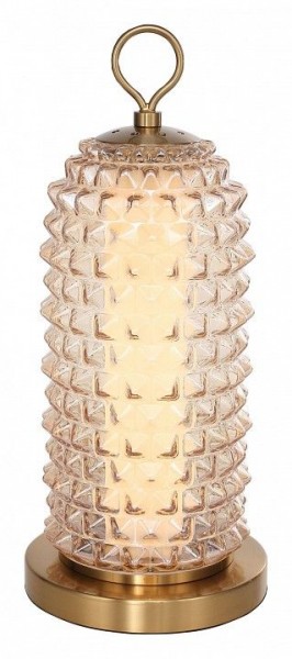 Настольная лампа декоративная ST-Luce SAGUARO SL6144.304.01 в Муравленко - muravlenko.mebel24.online | фото 2